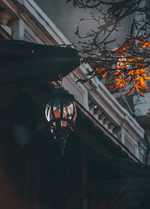 Free Autumn lamp Stock Photo