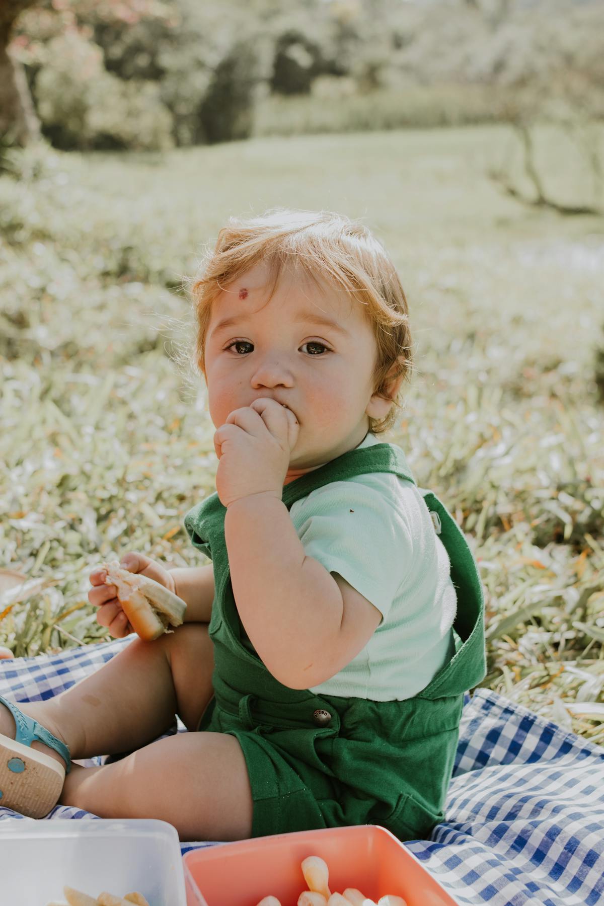 Baby Food Photos, Download The BEST Free Baby Food Stock Photos & HD Images