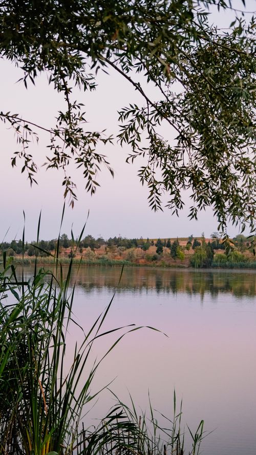 Free Tranquil scene of a lake with reflections and surrounding nature at dawn in Lüleburgaz, Türkiye. Stock Photo