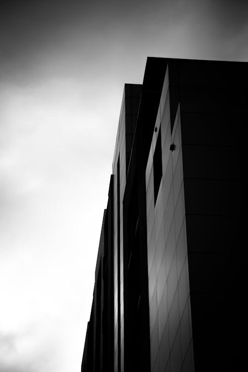 고층 빌딩의 회색조 사진