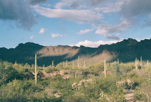 Free Beautiful desert scene featuring cacti, mountains, and sunlight casting shadows, perfect for travel and nature themes. Stock Photo