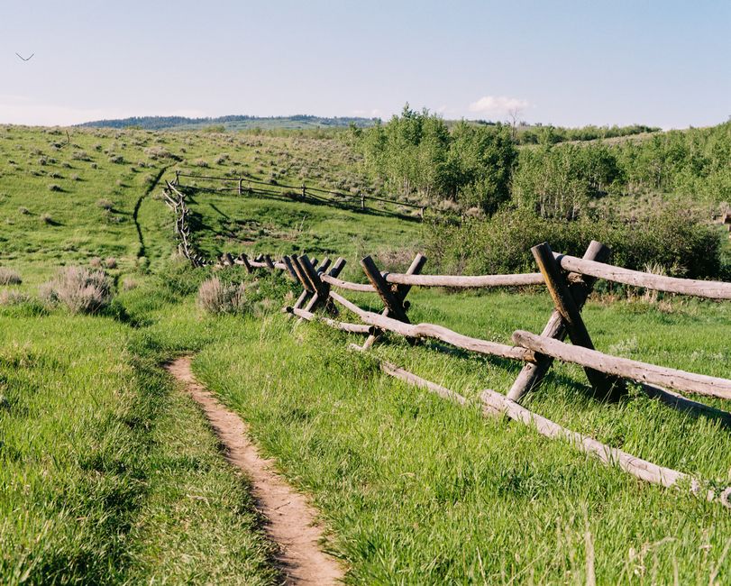 Best Fence Builders in Prosper, TX (2026)