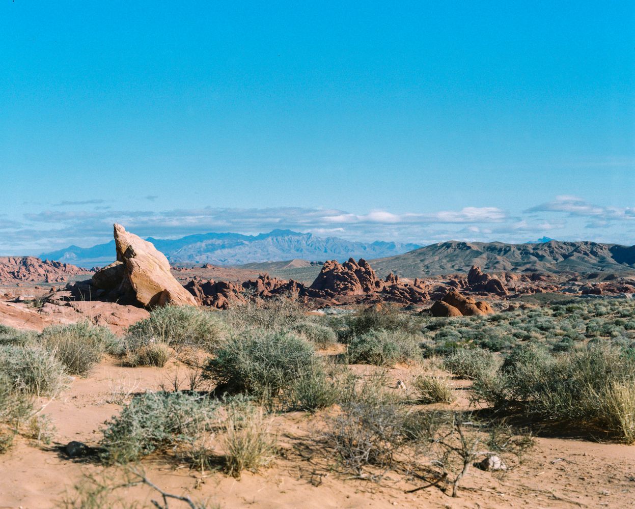 Red sandstone formations glowing in Valley of Fire State Park