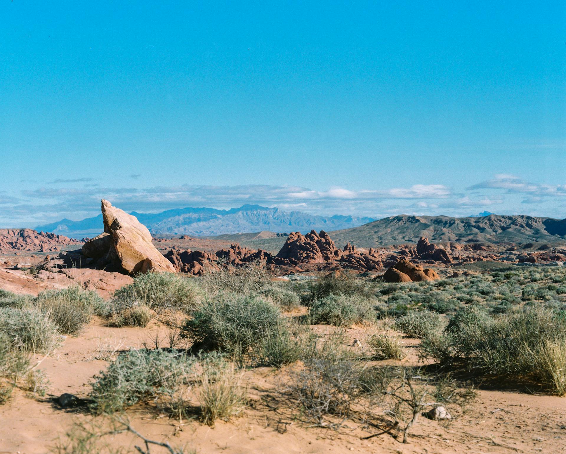 A desert landscape with rocks and mountains in the background