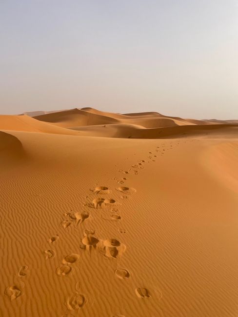 Golden sand dunes in the desert with footsteps leading into the distance, capturing a serene sunset.