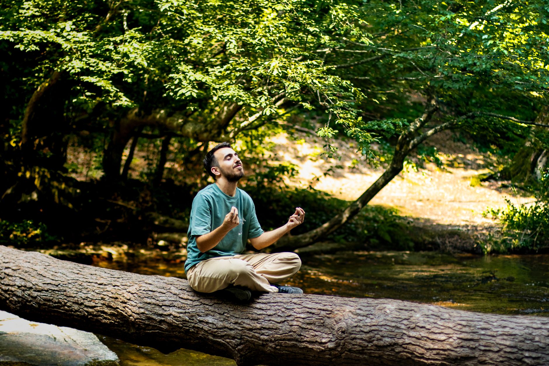 A man sits cross-legged on a tree log in a lush forest, practicing meditation and relaxation.
