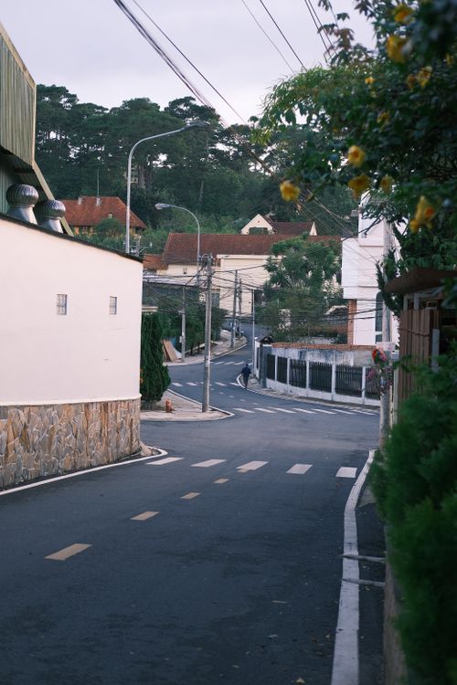 Free Quiet urban street scene with buildings and lush greenery in a peaceful neighborhood. Stock Photo