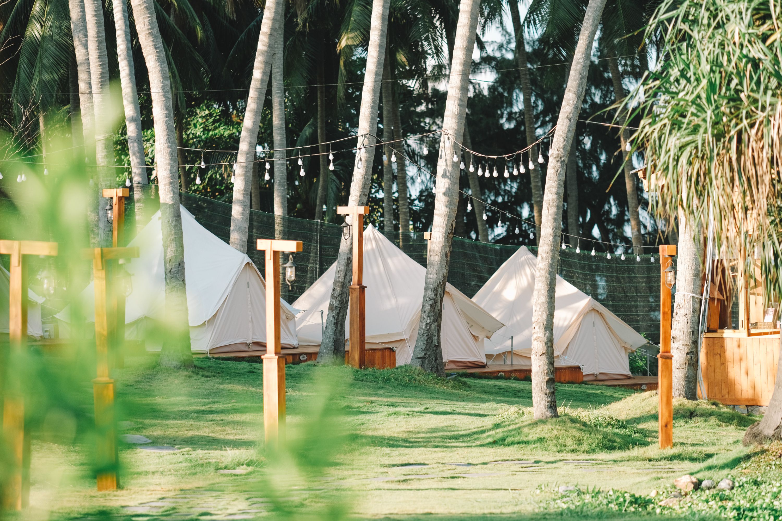 Luxury tents in a palm grove offer a serene glamping experience in Phan Thiet, Vietnam.