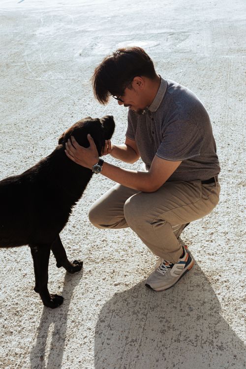Free A man crouches to bond with a Labrador retriever on a sunny day outdoors. Stock Photo
