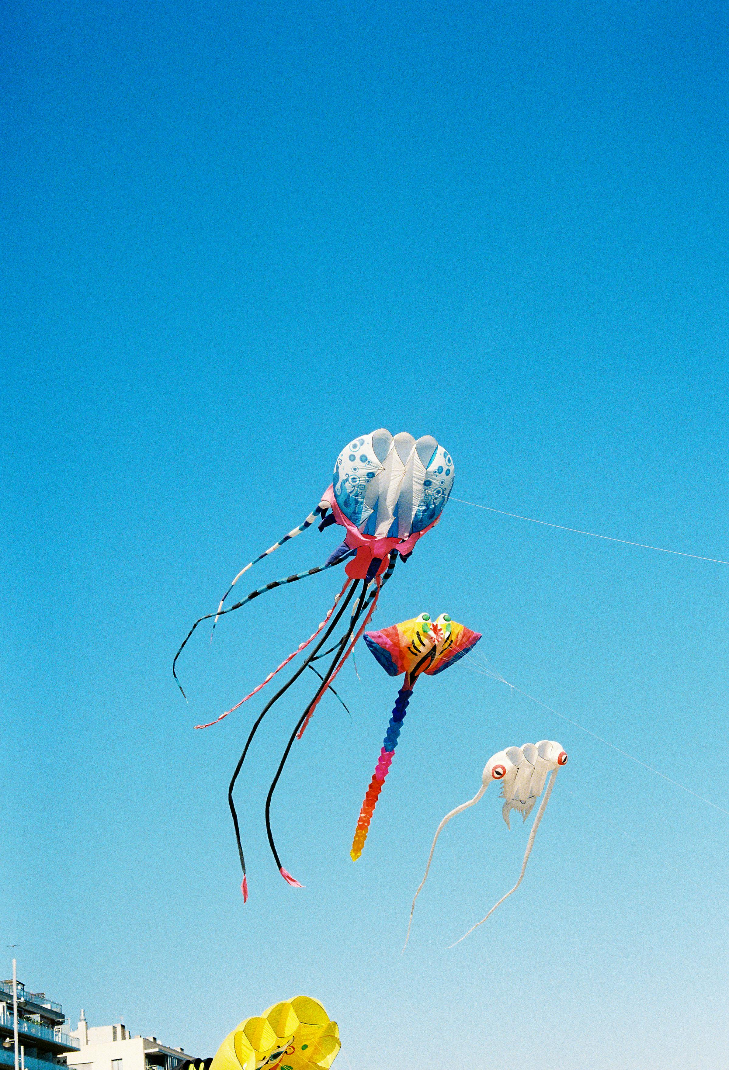 a group of people flying kites in a park