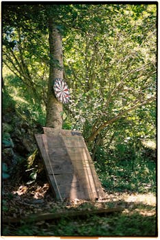 A rustic outdoor dartboard attached to a tree in a lush forest setting, perfect for outdoor recreation.