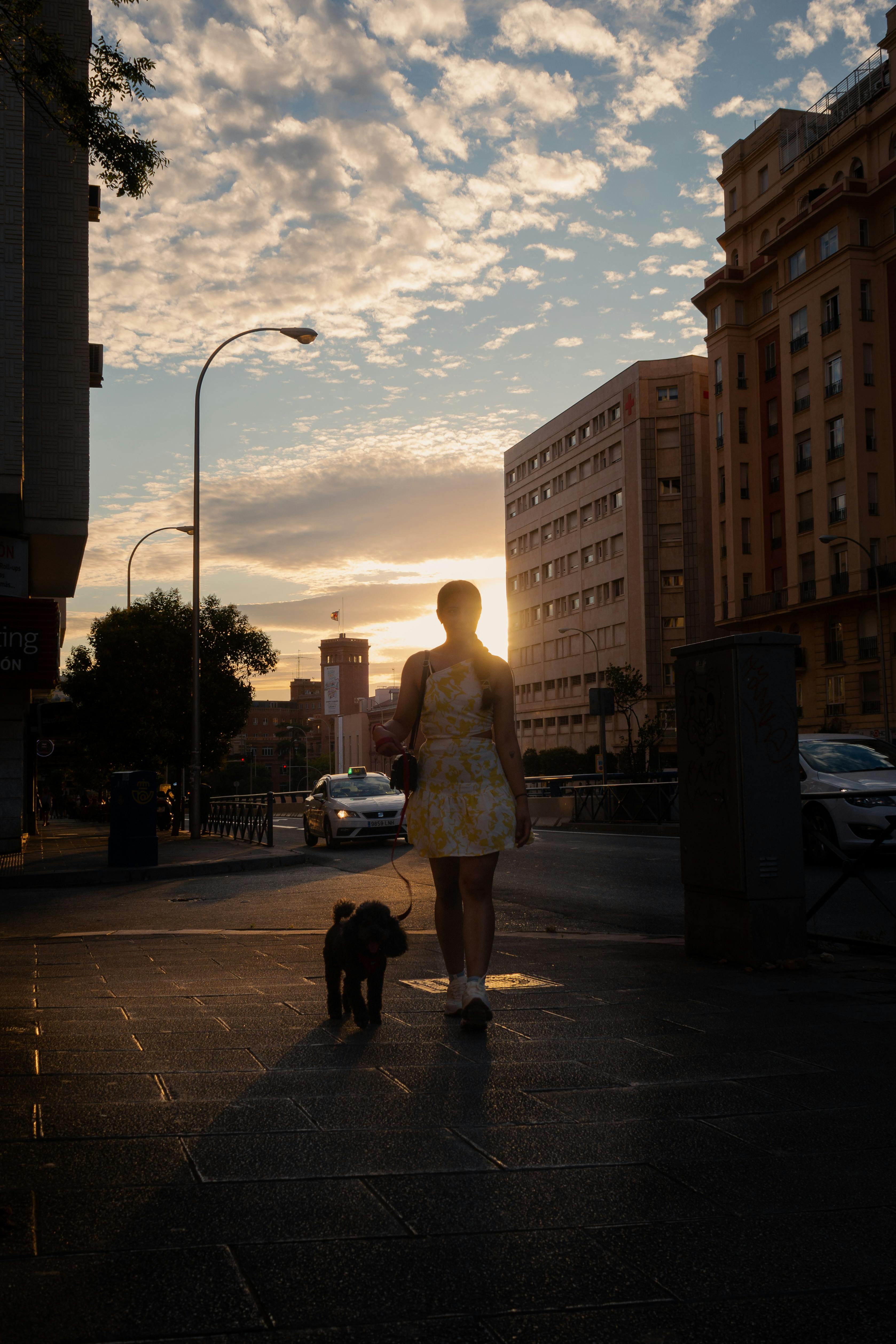 A woman walking her dog at sunset
