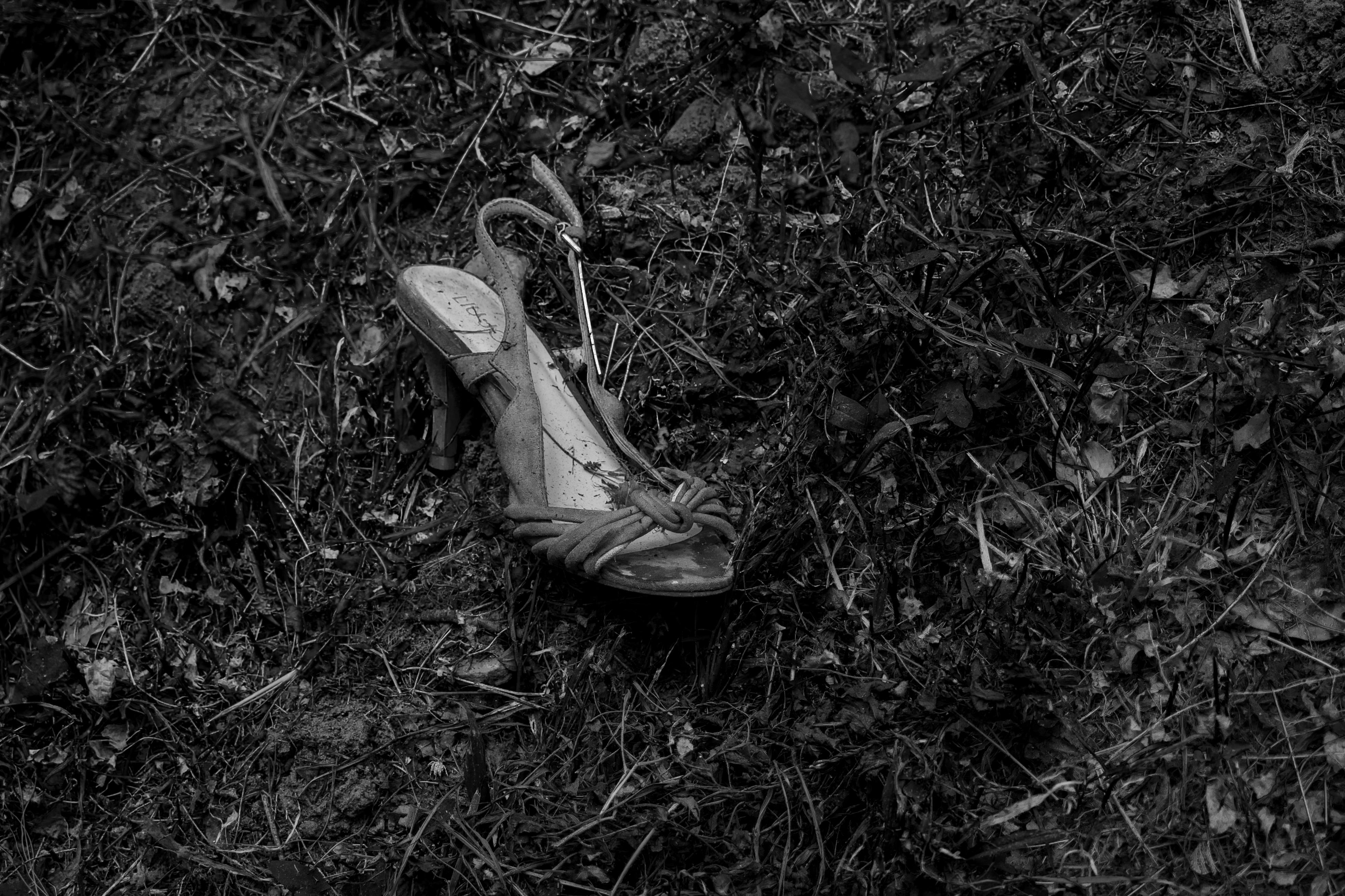 Black and white photo of a single abandoned shoe in a garden setting.