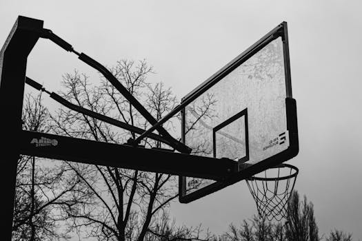Moody black and white photo of a basketball hoop with bare trees in winter.