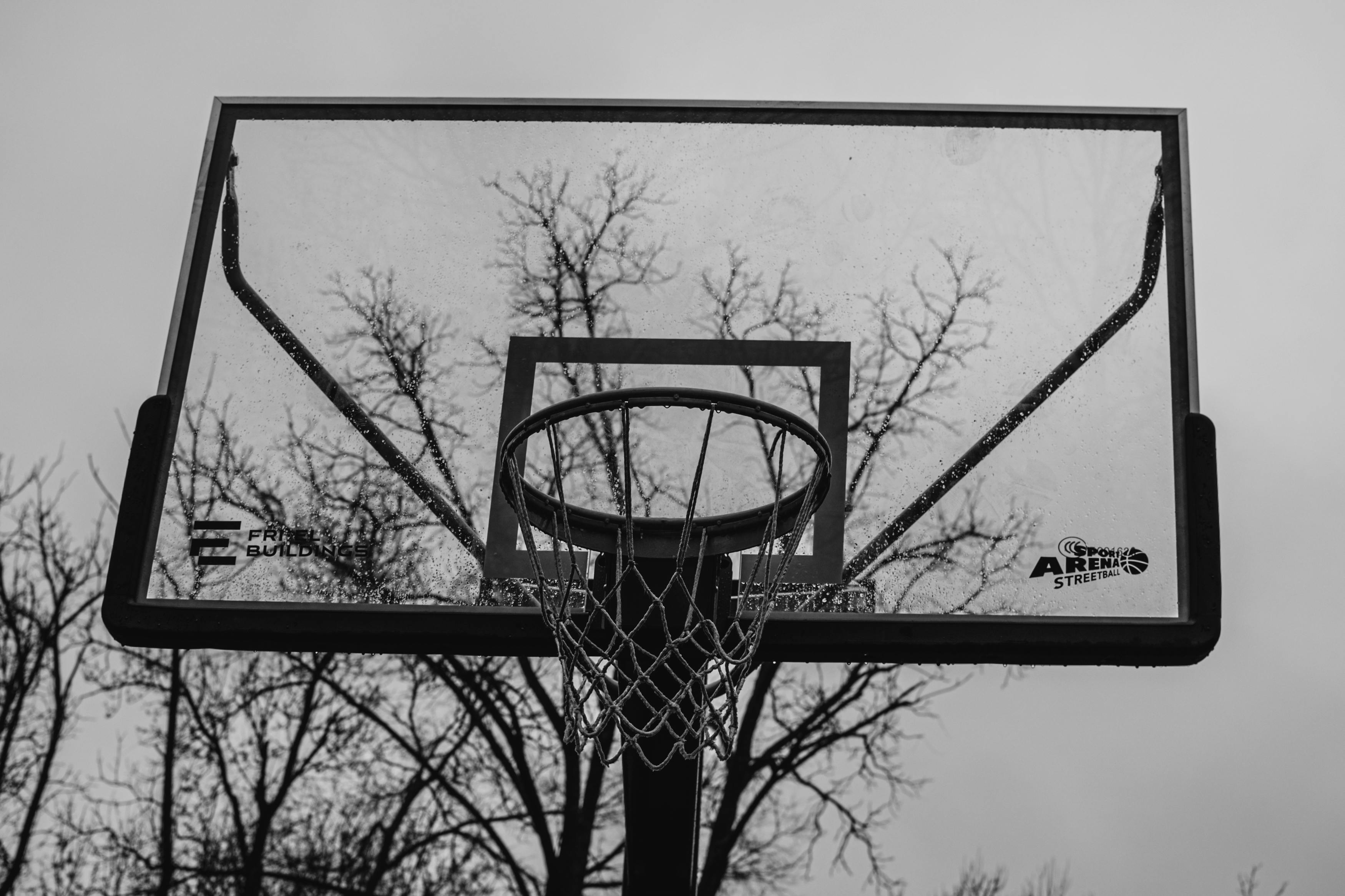 black and white photo of basketball hoop with trees