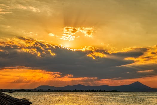 Image by Alex Ravvas