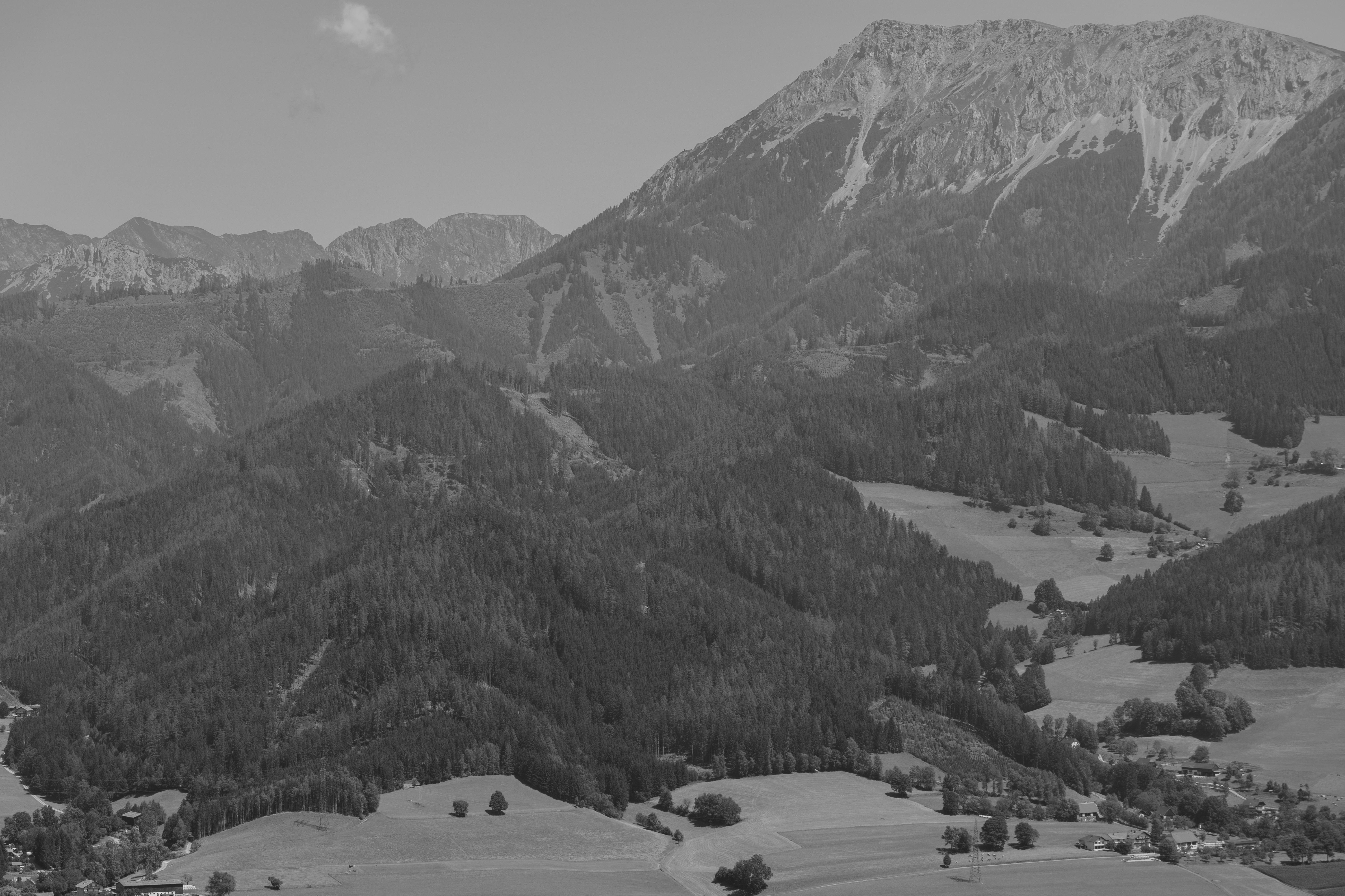 black and white photo of mountains and trees