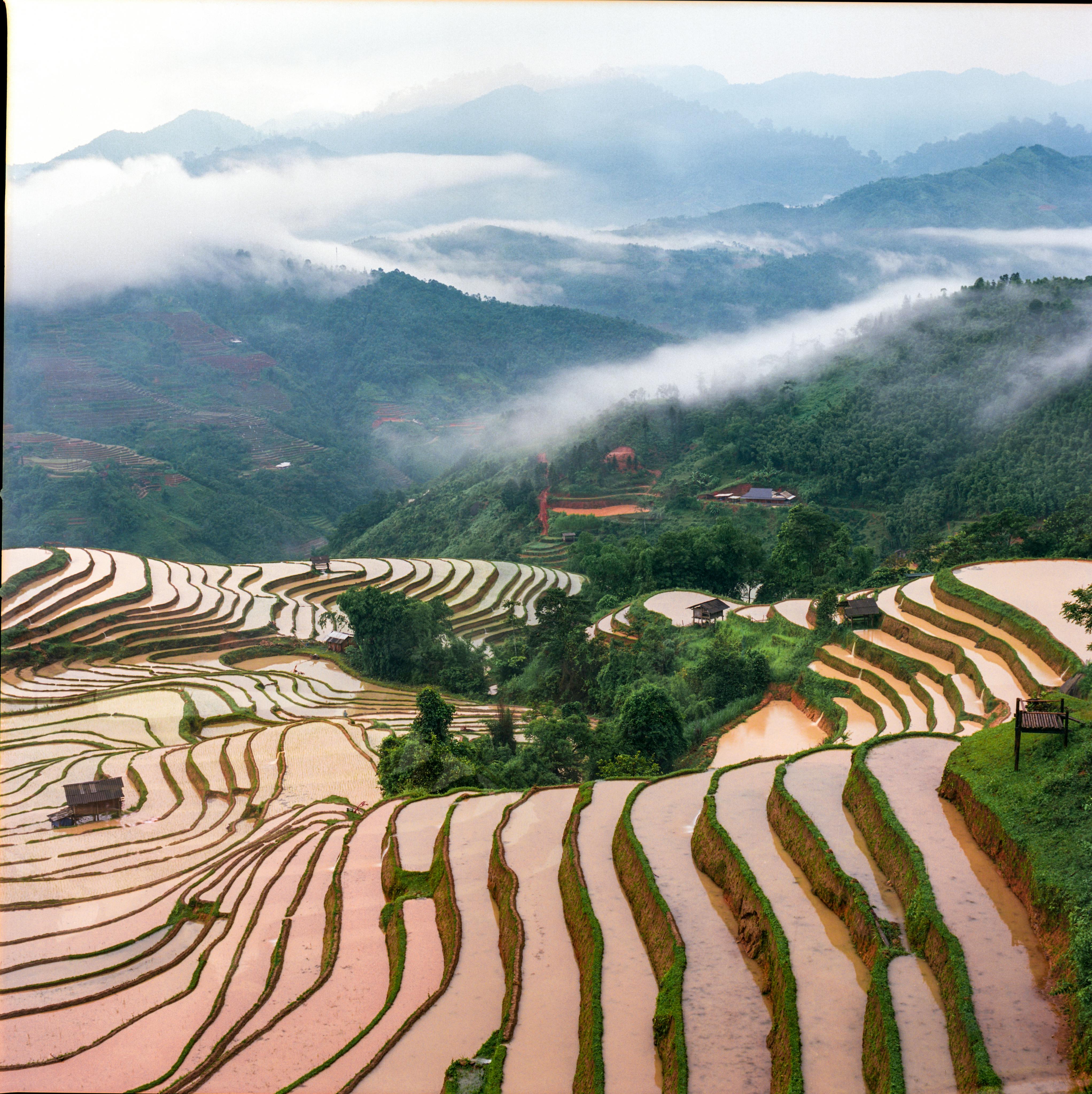 rice terraces in the mountains of vietnam