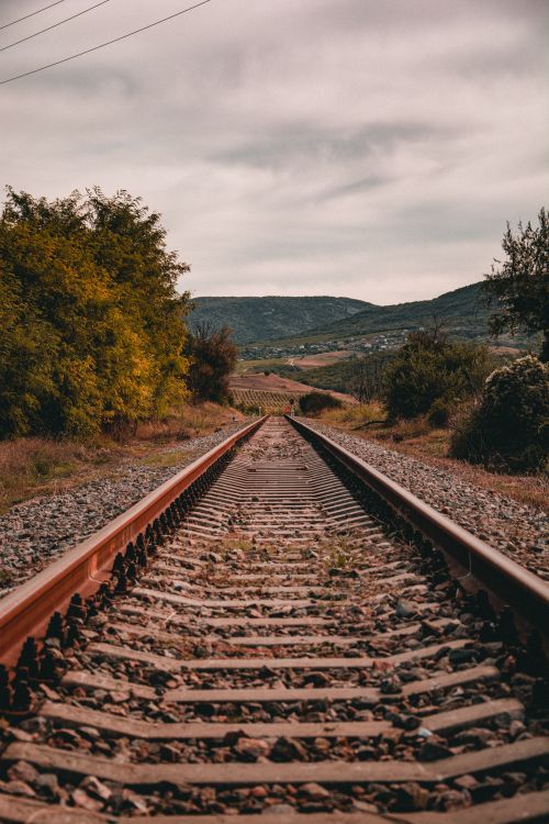Free Tranquil railroad tracks stretch through lush countryside, inviting adventures. Stock Photo