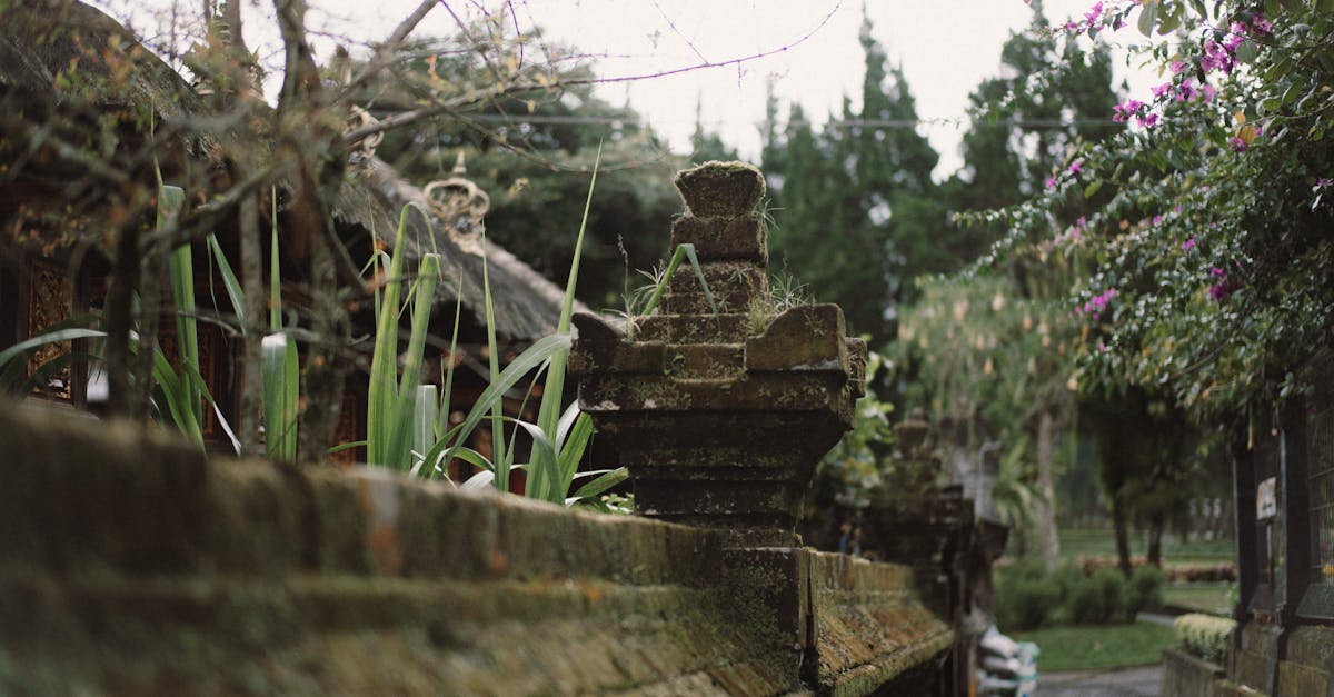 生活:歷時9年協調 八里污水處理廠正式轉交新北市府營運