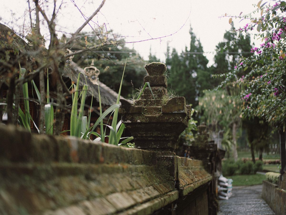 4 Day Organic Living Reset Retreat in North Bali 3