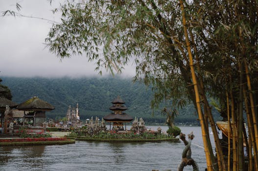 Ubud, Indonesia photo 5