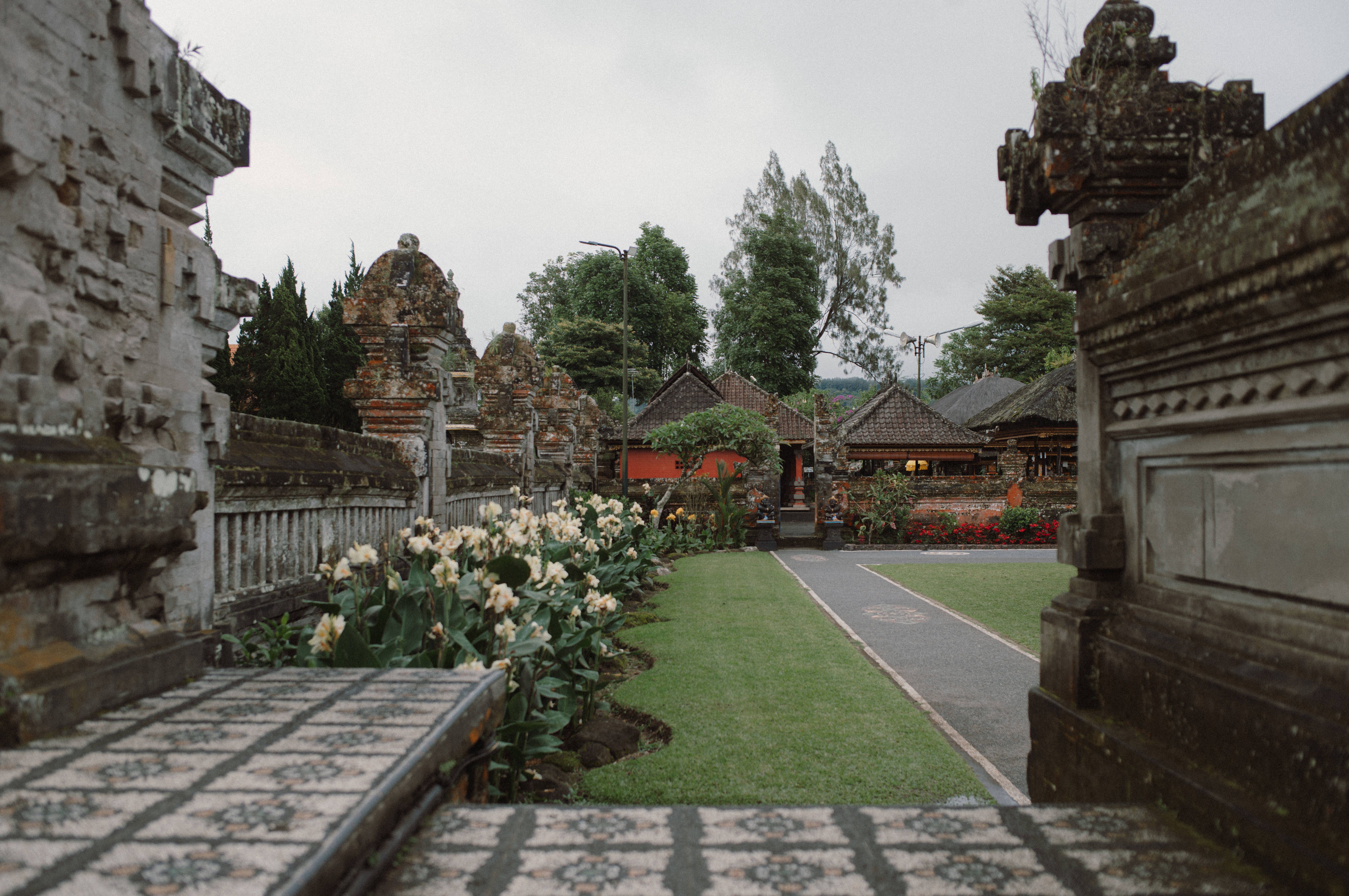 Sân làng Bali lúc hoàng hôn, vòng đấu gà đông người và những chiếc ô truyền thống