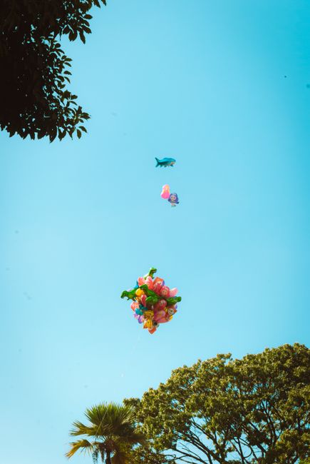 Colorful balloons floating against a bright blue sky with trees framing the scene.