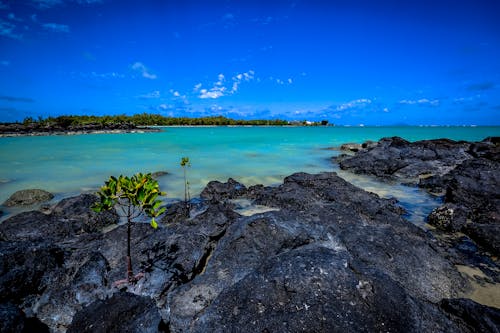 Rock Formations on Body of Water