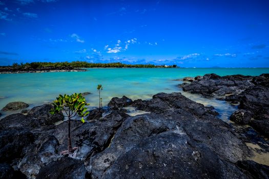Black River Gorges national park hike — Mauritius