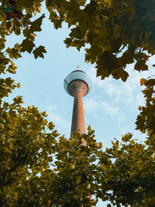Free The Rheinturm Tower in Düsseldorf, framed by vibrant green leaves under a clear blue sky. Stock Photo