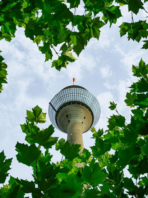 Free Rheinturm in Düsseldorf seen through vibrant green foliage on a bright summer day. Stock Photo