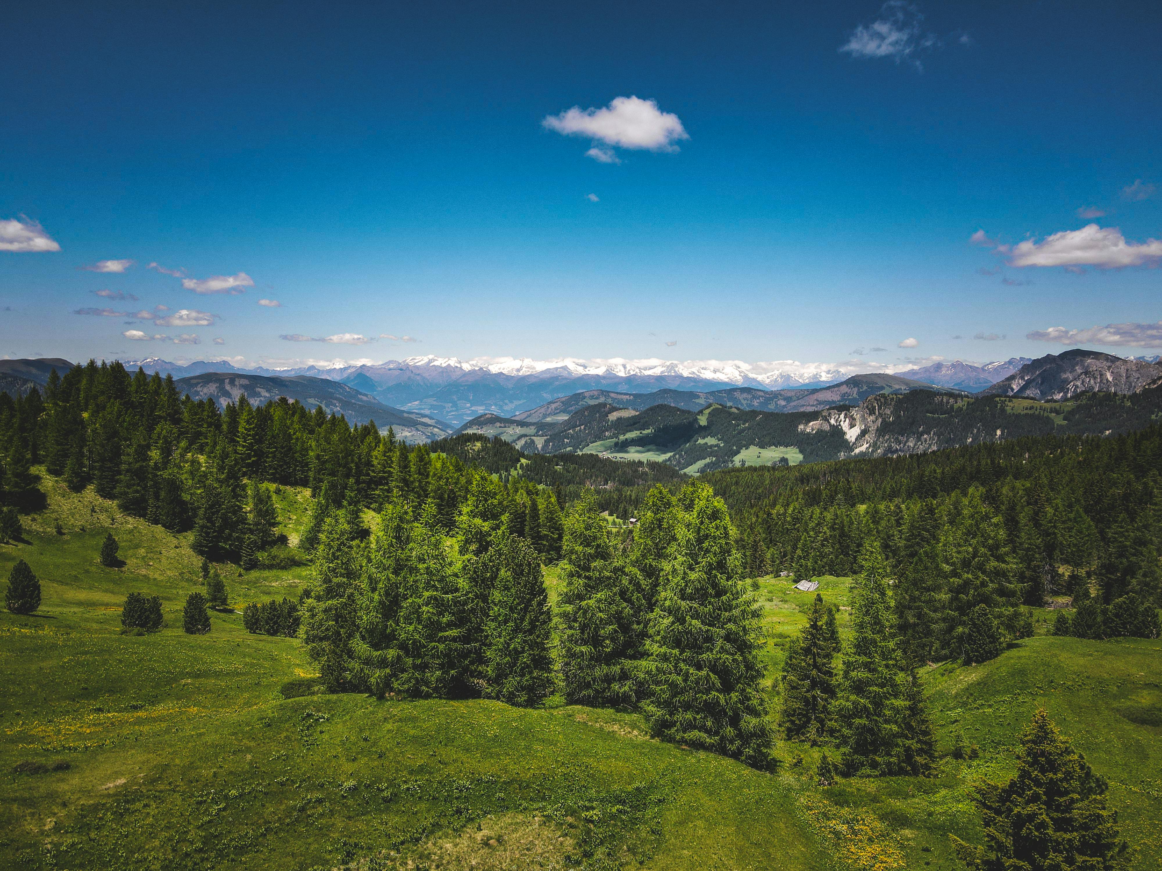 Landscape Photography of Green Field · Free Stock Photo