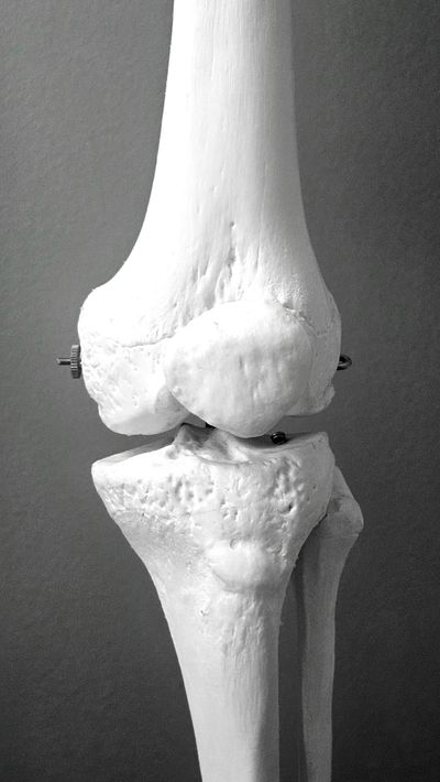 Orthopaedics