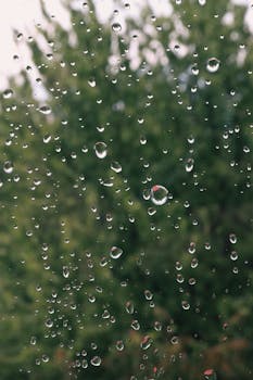 Clear rain droplets on a window with a blurred green outdoor background.