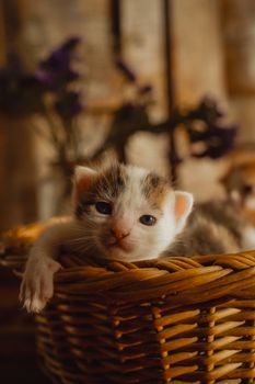 GLB.FYI -