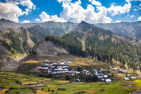 KASHMIR TOURIST PACKAGE - Transfers