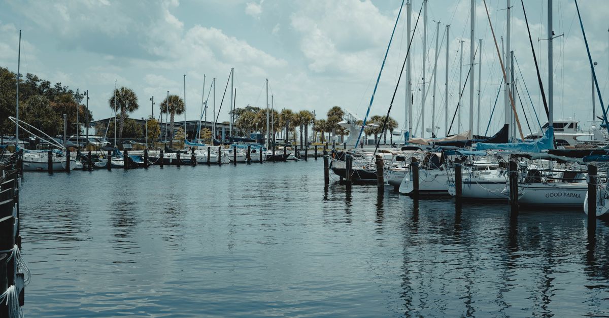Scenic view of sailboats docked in a marina on a sunny day in St. Petersburg, Florida.