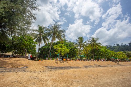 Free A serene tropical beach scene with palm trees and bright skies, perfect for a vacation getaway. Stock Photo