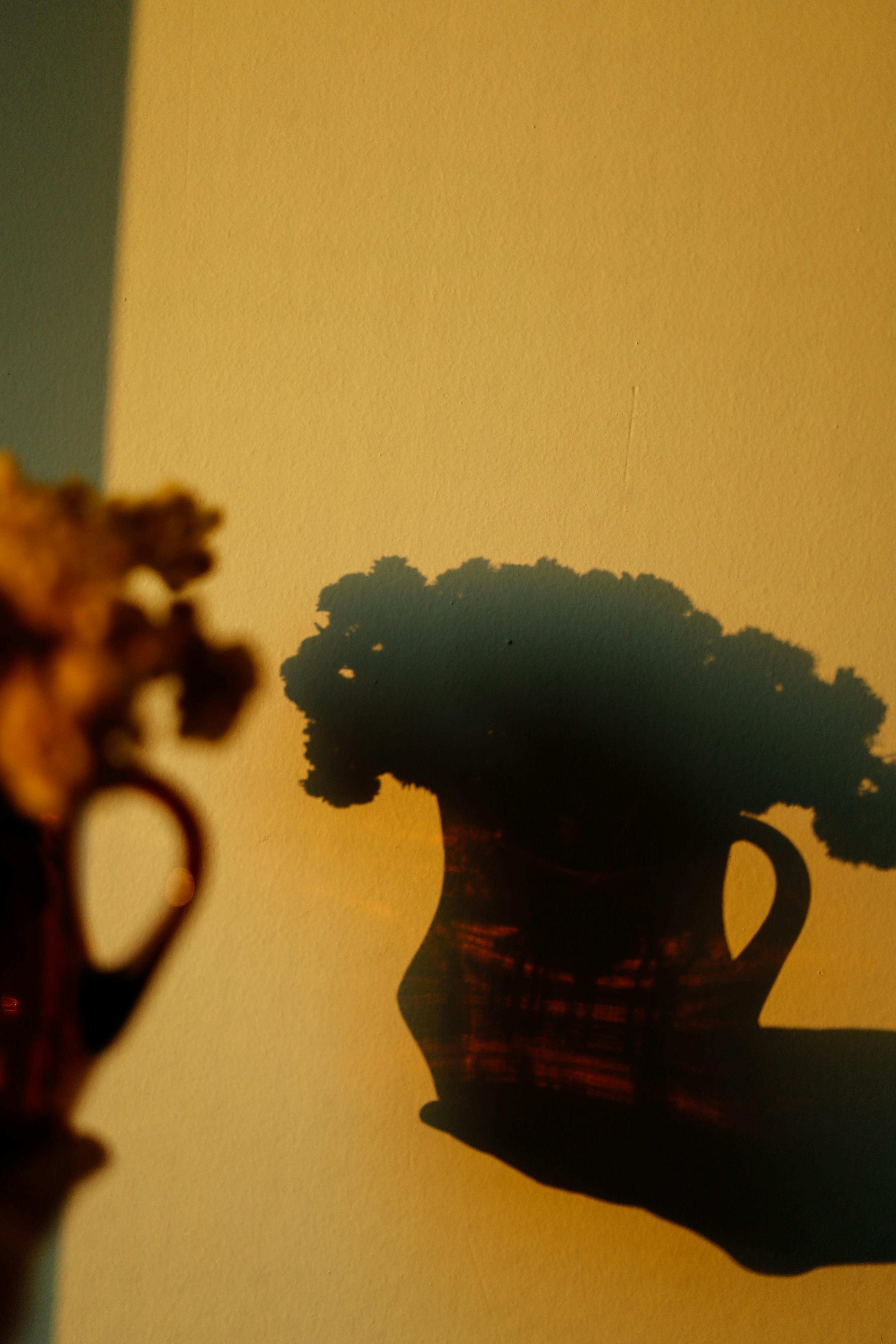 Creative silhouette of a flower vase casting a shadow on a wall with warm sunset light.
