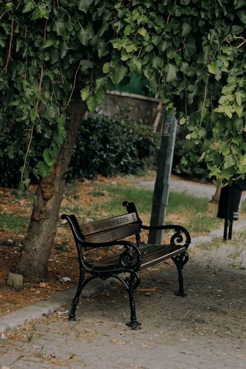 Free Vintage park bench shaded by lush tree in tranquil outdoor setting. Stock Photo