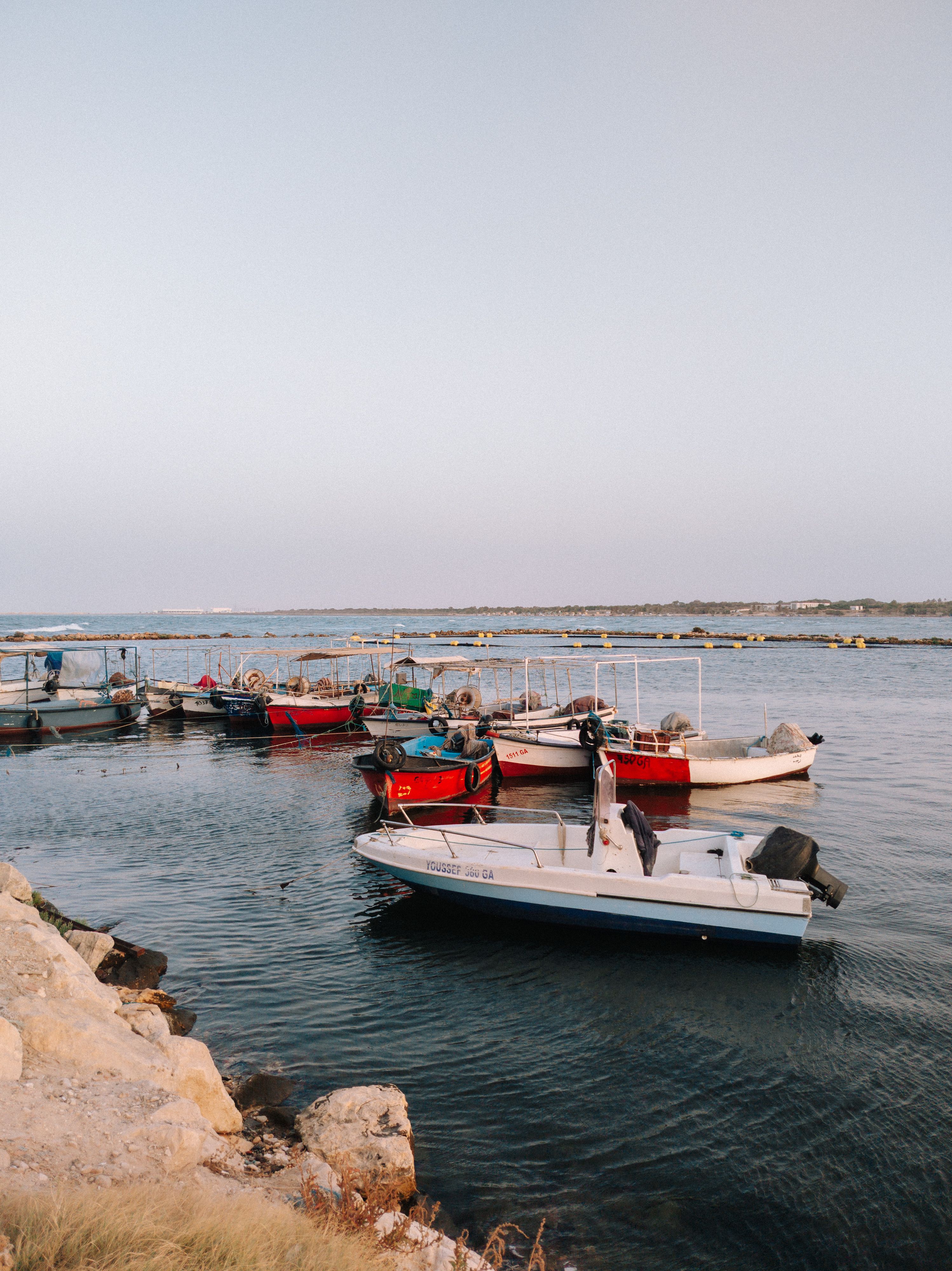 A group of boats docked at a harbor · Free Stock Photo