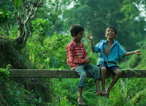 Два мальчика сидят на серой деревянной доске