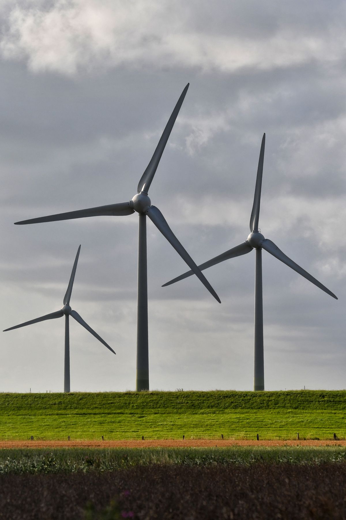 Wind turbines generating power on a grassy landscape, a facility whose next audit should test a stronger compliance program