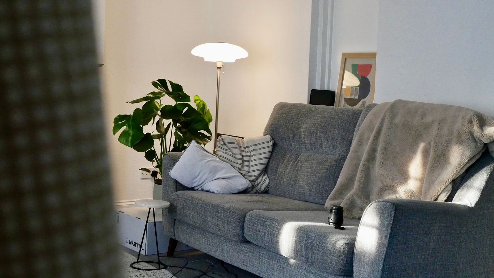 A living room with a grey sofa, plants, and soft window light