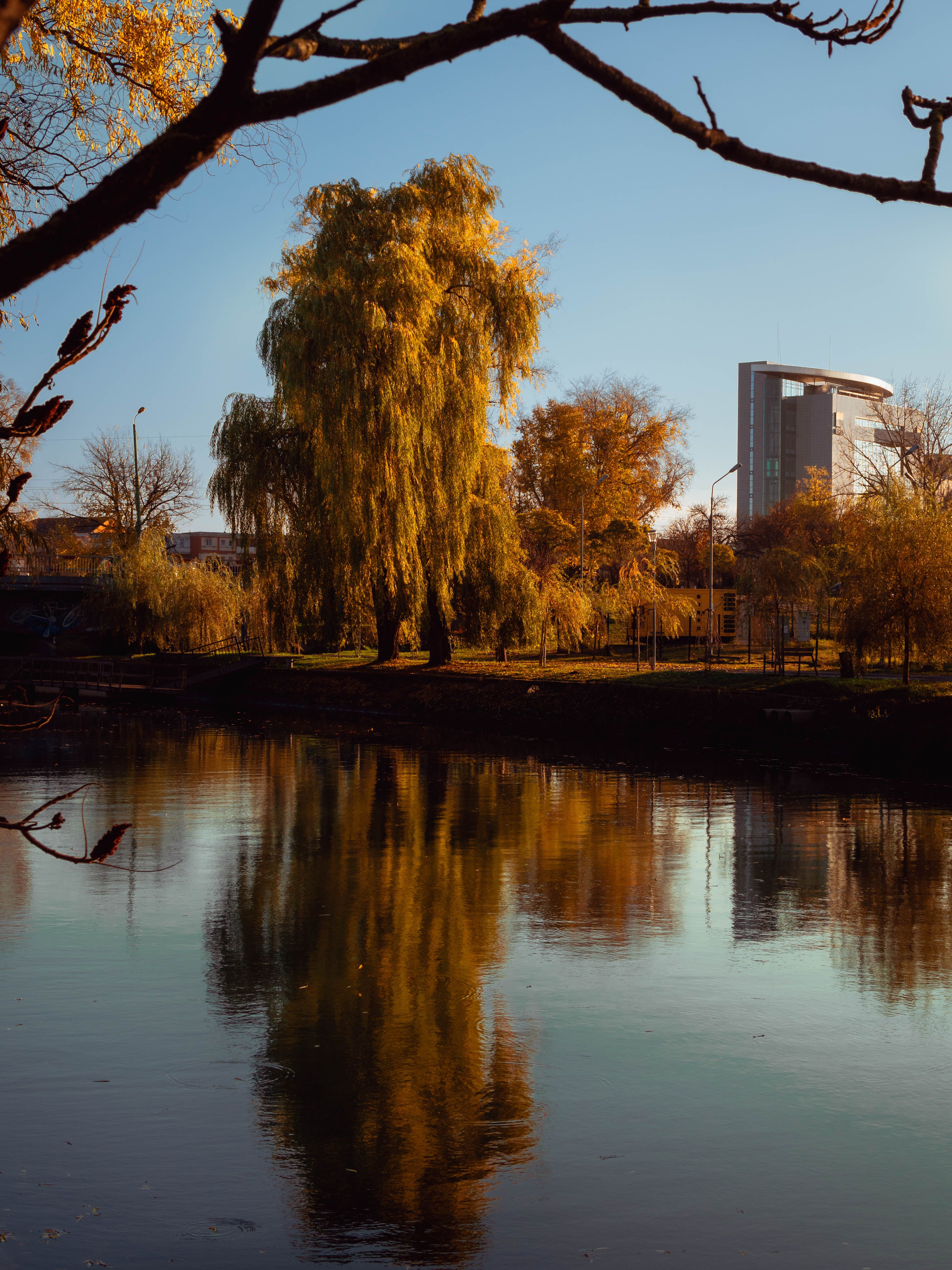 River with Reflection of the Trees in a Park in the Sunset · Free Stock ...