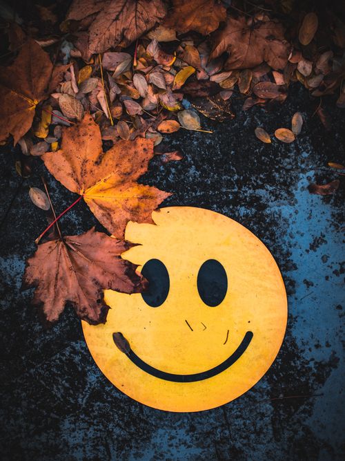 Free Cheerful yellow smiley face partially covered by vibrant autumn leaves on asphalt. Stock Photo
