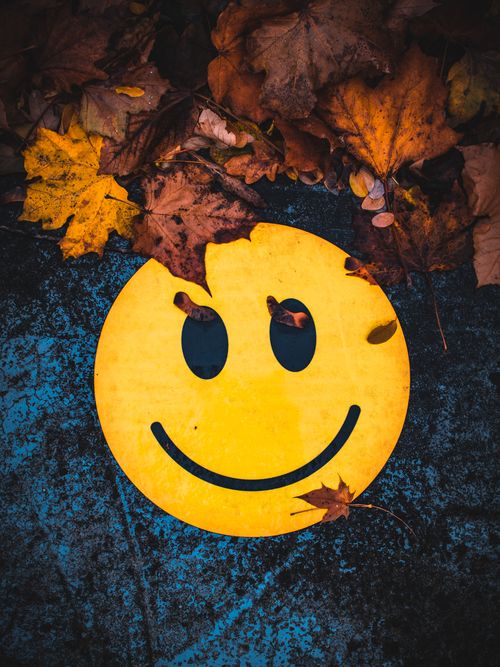 Free Vivid smiley face on pavement surrounded by autumn leaves. Perfect for artistic fall themes. Stock Photo
