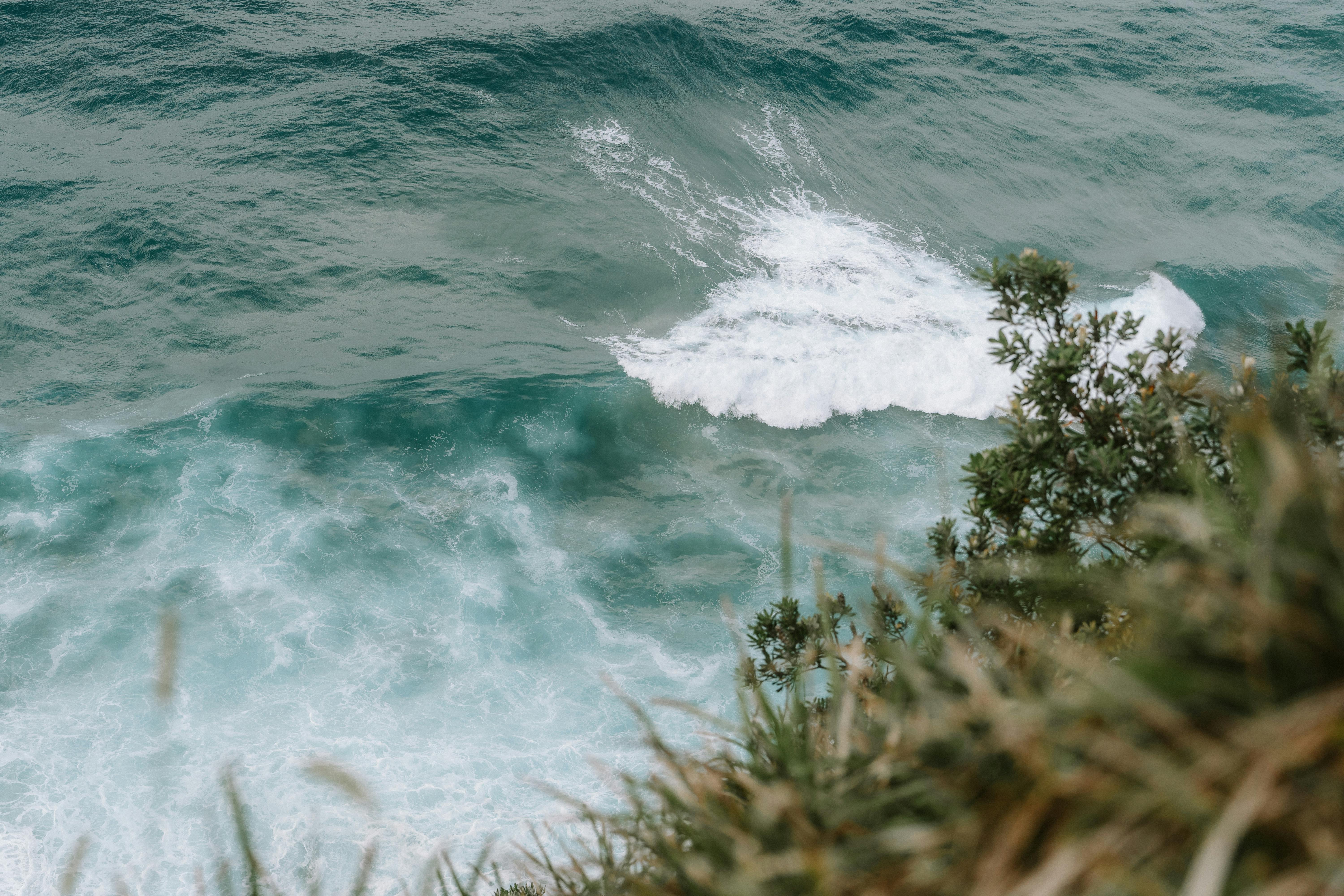 a person is standing on a cliff overlooking the ocean