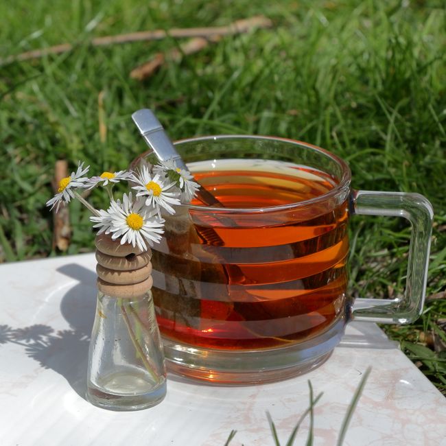 Botaniczna inspiracja dla RELAX — zdjęcie poglądowe